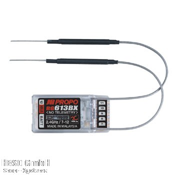 RG613BX-B 2.4 EXTENDED RX(7-12 CHANNELS)